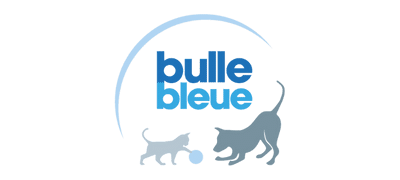bulle-bleu